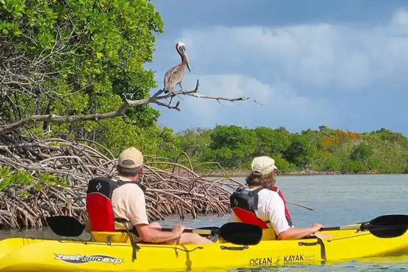 Eco Tour Sunset Tour