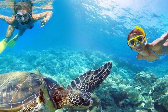 Two snorkelers smiling underwater beside a sea turtle over coral
