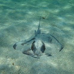 St John boat excursions